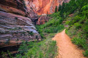 Zion Observation Point