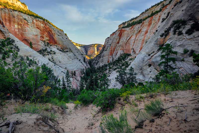 Checkerboard Mesa Canyon (Zion National Park)