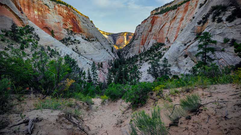 Checkerboard Mesa Canyon (Zion National Park)