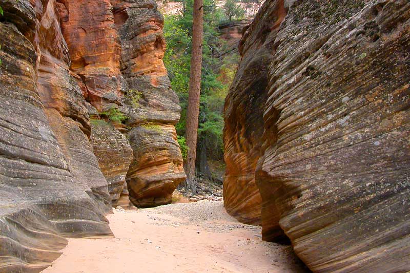 Clear Creek (Zion National Park)