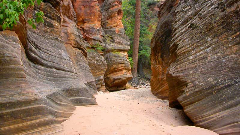 Clear Creek (Zion National Park)