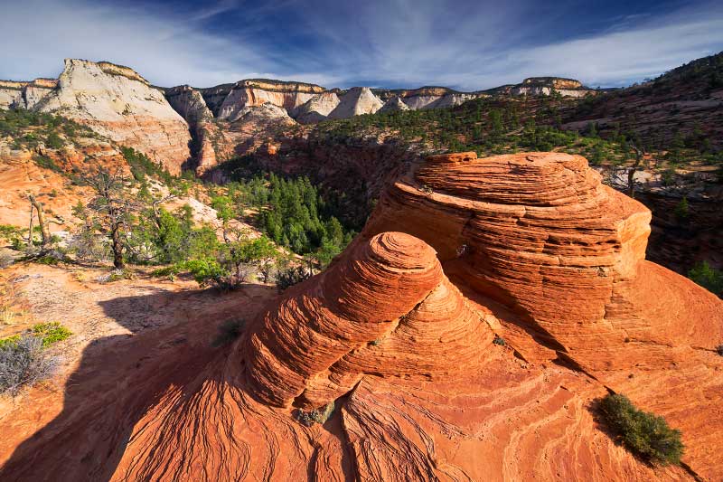 Cockeye Falls (Zion National Park)