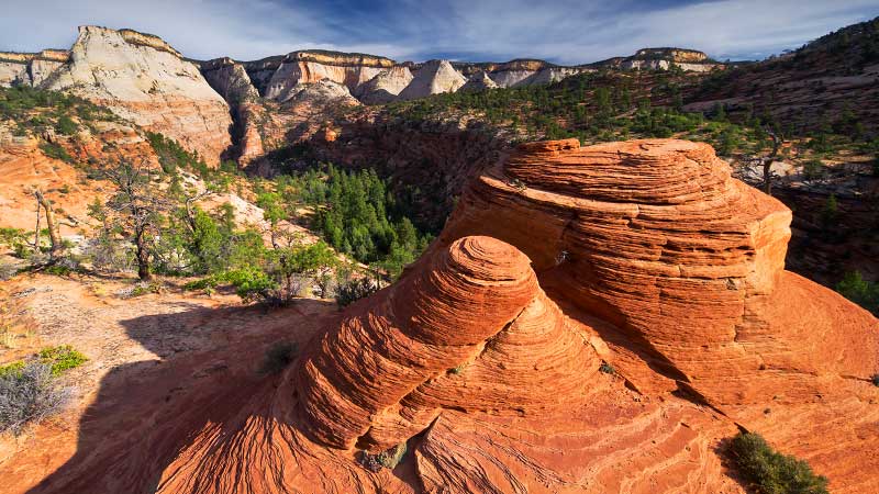 Cockeye Falls (Zion National Park)