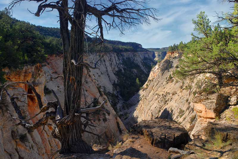 East Rim Trail (Zion National Park)