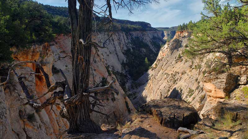 East Rim Trail (Zion National Park)