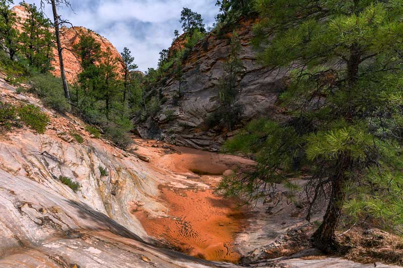 Gifford Canyon (Zion National Park)