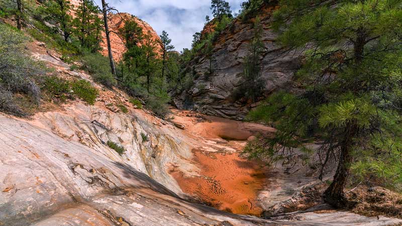 Gifford Canyon (Zion National Park)