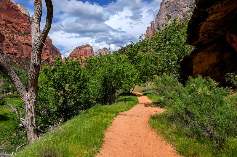 the inviting Grotto Trail in the heart of Zion Canyon (Zion National Park)