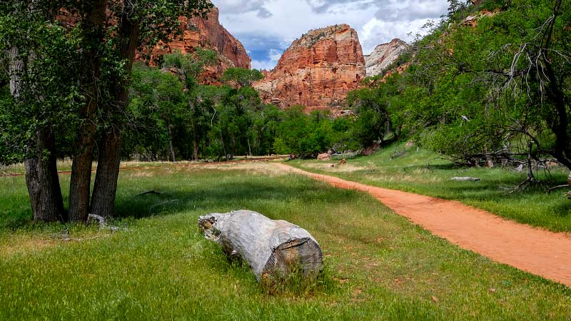 the inviting Grotto Trail in the heart of Zion Canyon (Zion National Park)