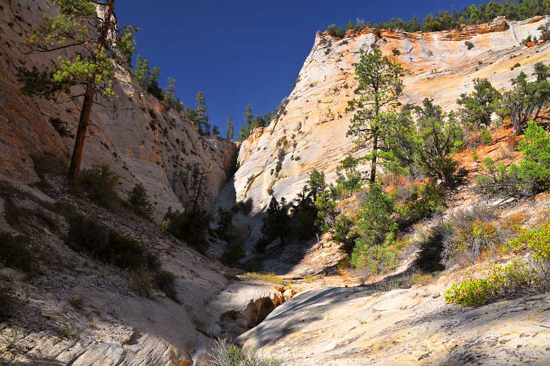 Jolley Gulch (Zion National Park)