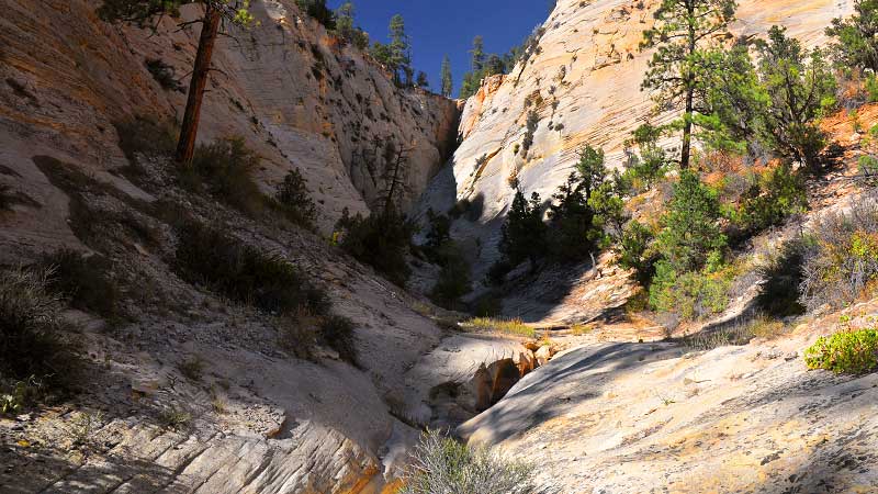 Jolley Gulch (Zion National Park)