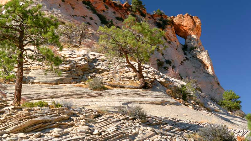 Jughandle Arch (Zion National Park)