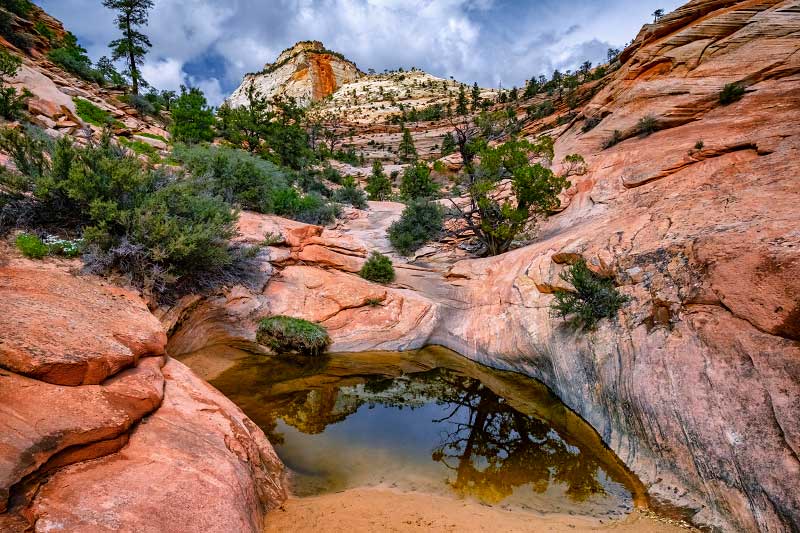 Many Pools (Zion National Park)