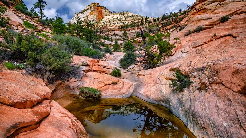 Many Pools (Zion National Park)