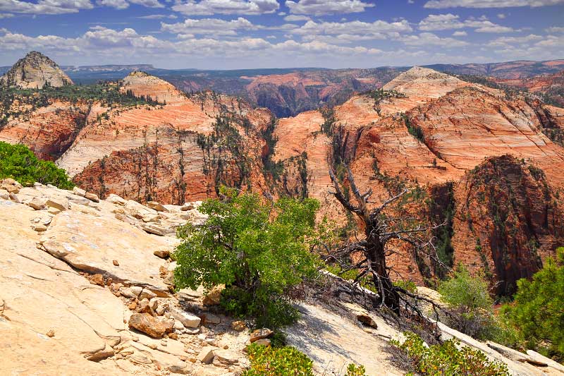 Progeny Peak (Zion National Park)