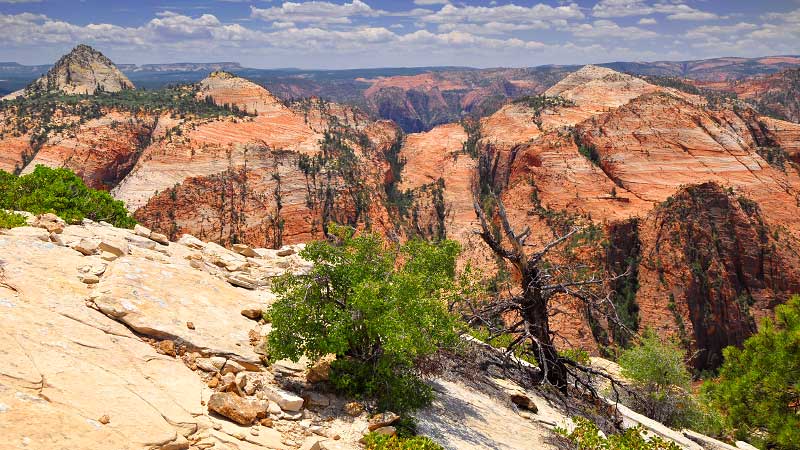 Progeny Peak (Zion National Park)