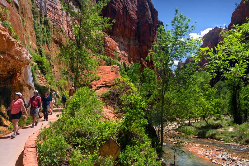 the paved pathway of Riverside Walk (Zion National Park)