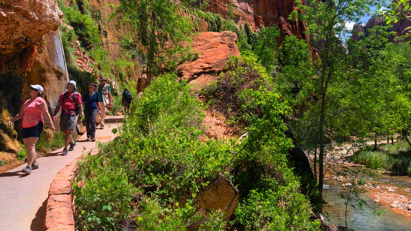 the paved pathway of Riverside Walk (Zion National Park)
