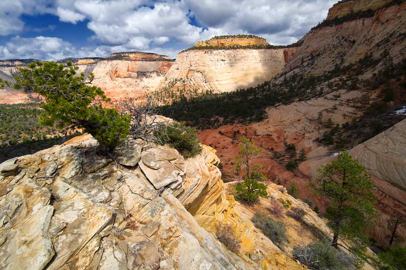 Separation Peak (Zion National Park)