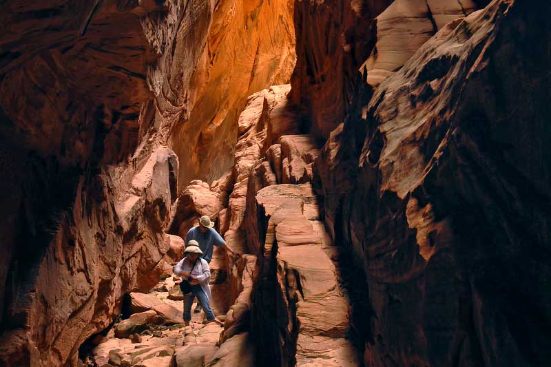 Shelf Canyon (Zion National Park)