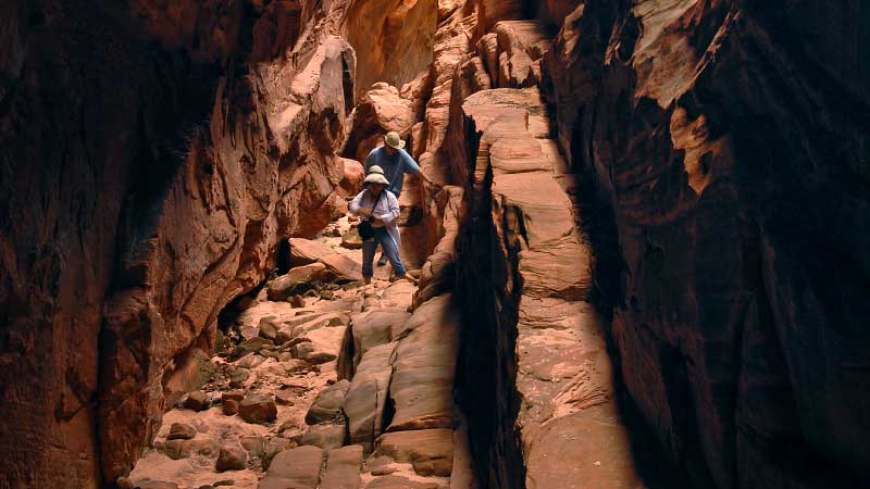 Shelf Canyon (Zion National Park)