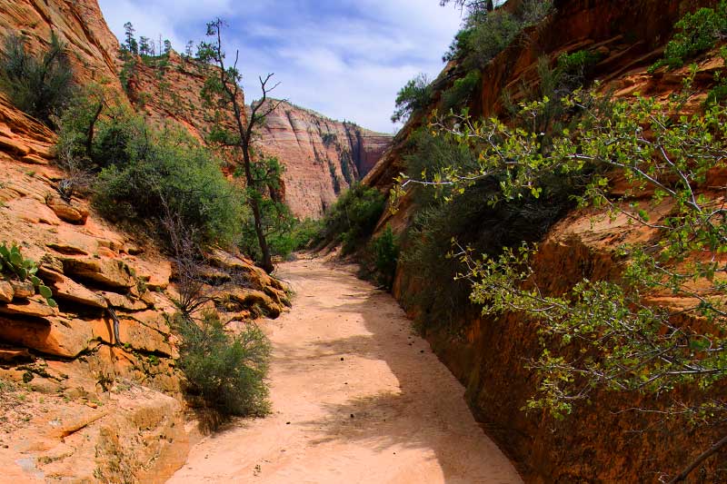 Upper Pine Creek (Zion National Park)
