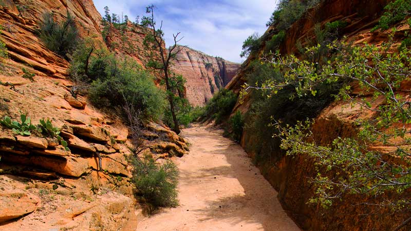 Upper Pine Creek (Zion National Park)